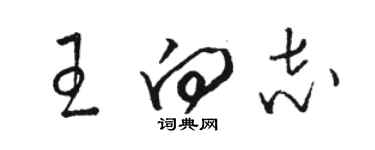 骆恒光王向志草书个性签名怎么写
