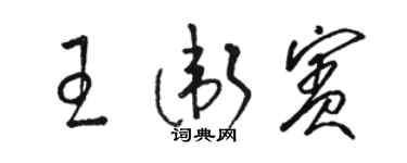 骆恒光王卫宾草书个性签名怎么写