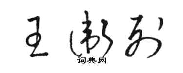 骆恒光王卫列草书个性签名怎么写