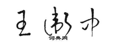 骆恒光王卫中草书个性签名怎么写