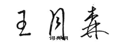 骆恒光王月森草书个性签名怎么写