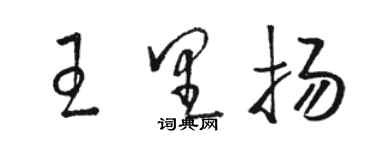 骆恒光王里扬草书个性签名怎么写