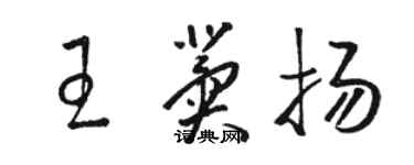 骆恒光王冀扬草书个性签名怎么写