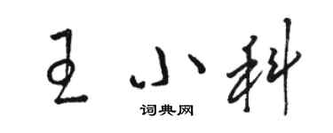 骆恒光王小科草书个性签名怎么写