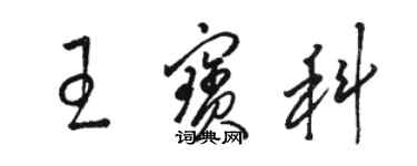 骆恒光王宝科草书个性签名怎么写