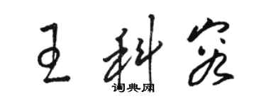 骆恒光王科容草书个性签名怎么写