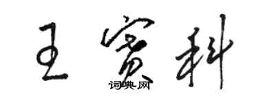 骆恒光王赛科草书个性签名怎么写