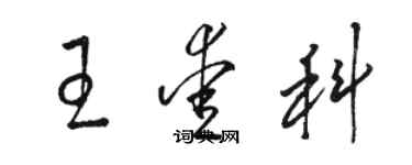 骆恒光王爱科草书个性签名怎么写