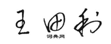 骆恒光王田利草书个性签名怎么写