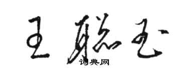 骆恒光王聪玉草书个性签名怎么写