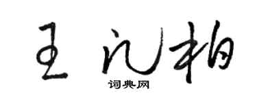 骆恒光王凡柏草书个性签名怎么写