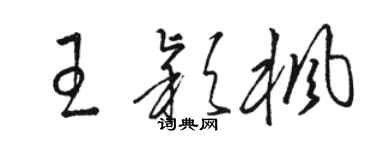 骆恒光王颖枫草书个性签名怎么写