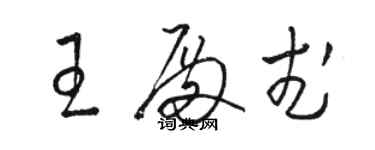 骆恒光王殿武草书个性签名怎么写