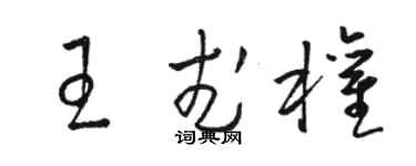 骆恒光王武权草书个性签名怎么写