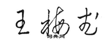 骆恒光王梅武草书个性签名怎么写
