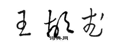 骆恒光王胡武草书个性签名怎么写