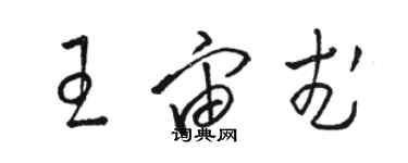 骆恒光王宙武草书个性签名怎么写