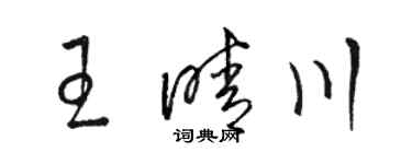 骆恒光王晴川草书个性签名怎么写
