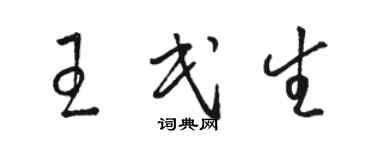 骆恒光王民生草书个性签名怎么写