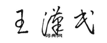 骆恒光王汉民草书个性签名怎么写