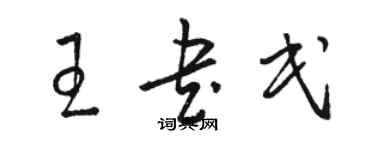 骆恒光王书民草书个性签名怎么写