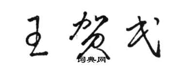 骆恒光王贺民草书个性签名怎么写