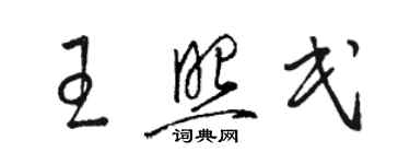 骆恒光王照民草书个性签名怎么写