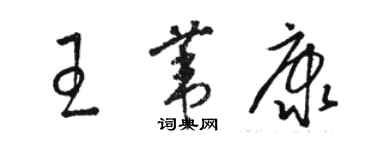 骆恒光王苇康草书个性签名怎么写