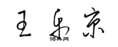 骆恒光王乐京草书个性签名怎么写