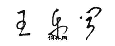 骆恒光王乐闻草书个性签名怎么写