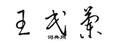 骆恒光王民兰草书个性签名怎么写