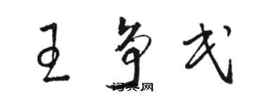 骆恒光王争民草书个性签名怎么写