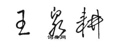 骆恒光王泉耕草书个性签名怎么写