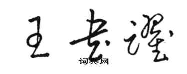 骆恒光王书跃草书个性签名怎么写