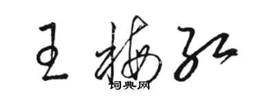 骆恒光王梅红草书个性签名怎么写