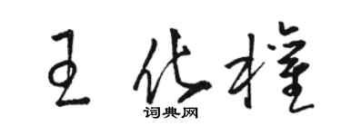 骆恒光王化权草书个性签名怎么写