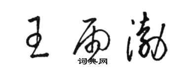 骆恒光王雨渤草书个性签名怎么写