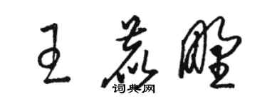 骆恒光王鹿野草书个性签名怎么写