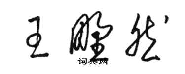 骆恒光王野然草书个性签名怎么写