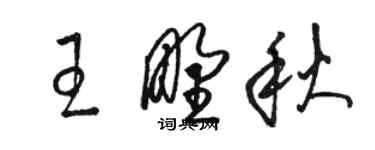 骆恒光王野秋草书个性签名怎么写