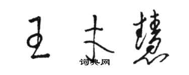 骆恒光王才慧草书个性签名怎么写
