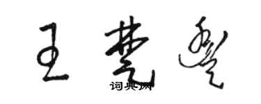 骆恒光王楚丰草书个性签名怎么写