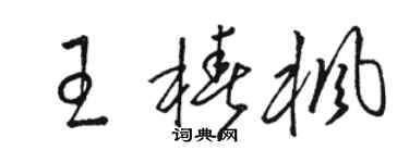 骆恒光王椿枫草书个性签名怎么写
