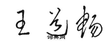 骆恒光王道畅草书个性签名怎么写