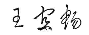 骆恒光王宜畅草书个性签名怎么写