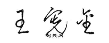 骆恒光王宪金草书个性签名怎么写