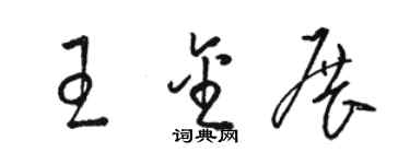 骆恒光王金展草书个性签名怎么写