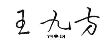 骆恒光王九方草书个性签名怎么写