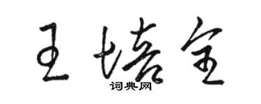 骆恒光王培全草书个性签名怎么写