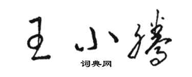 骆恒光王小腾草书个性签名怎么写